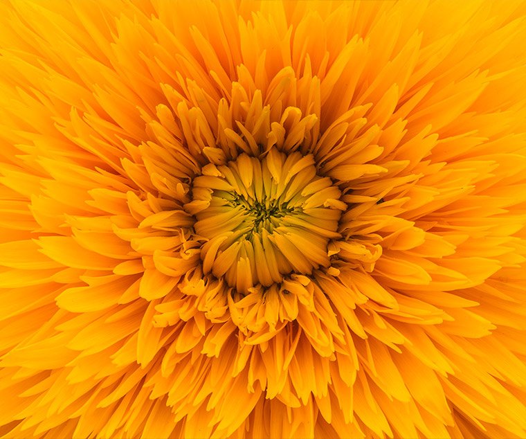 v2osk-pQ7GIGO6esE-unsplash